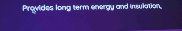 Prąvides long term energy and insulation,