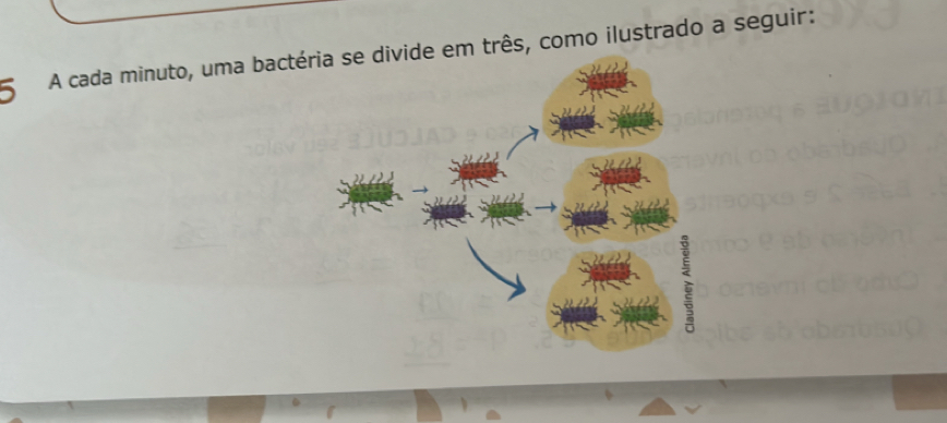 A cada minuto, uma bactéem três, como ilustrado a seguir: