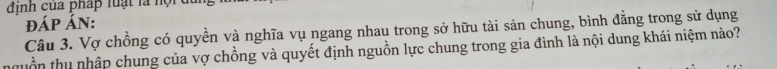 định của pháp luạt là nộrd 
đÁP ÁN: 
Câu 3. Vợ chồng có quyền và nghĩa vụ ngang nhau trong sở hữu tài sản chung, bình đẳng trong sử dụng 
tnguồn thu nhập chung của vợ chồng và quyết định nguồn lực chung trong gia đình là nội dung khái niệm nào?