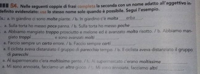 ■■ 54.Nelle seguenti coppie di frasi completa la seconda con un nome adatto all'aggettivo in- 
definito evidenziato: usa lo stesso nome solo quando è possibile. Segui l'esempio. 
Es.: a. In giardino ci sono molte piante. / b. In giardino c'è molta _erba _. 
. a. Sulla torta ho messo poca panna. / b. Sulla torta ho messo poche_ 
a. Abbiamo mangiato troppo prosciutto e melone ed è avanzato molto risotto. / b. Abbiamo man- 
giato troppi _e sono avanzati molti_ 
a. Faccio sempre un certo errore. / b. Faccio sempre certi _,. 
a. Il ciclista aveva distanziato il gruppo di parecchio tempo. / b. Il ciclista aveva distanziato il gruppo 
di parecchi_ 
a. Al supermercato c’era moltissima gente. / b. Ai supermercato c'erano moltissime_ 
a. Mi sono annoiata, facciamo un altro gioco. / i. Mi sono annoiata, facciamo altri _.