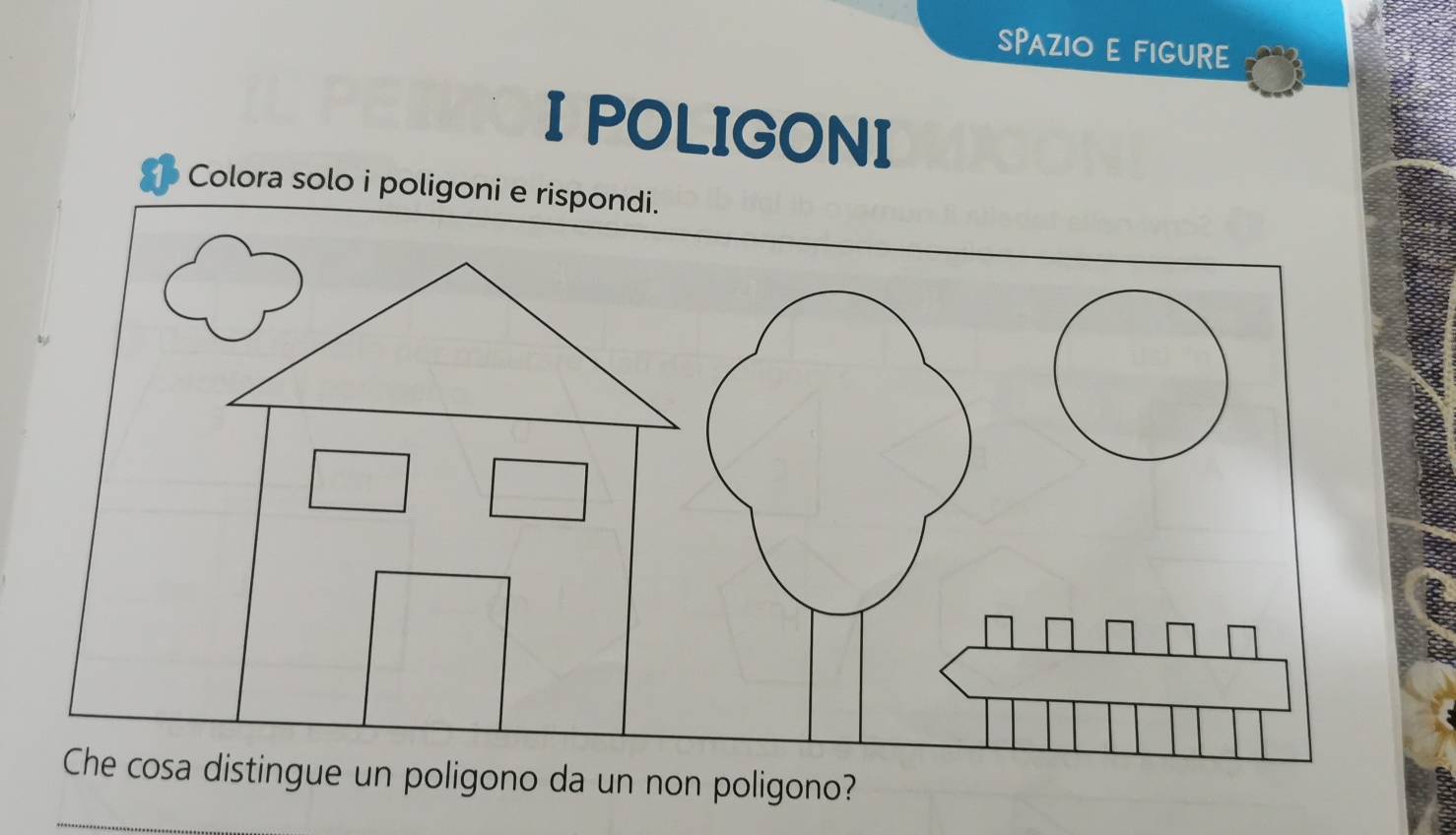 SPAZIO E FIGURE 
I POLIGONI 
Colora solo i poligoni e rispondi. 
Che cosa distingue un poligono da un non poligono?