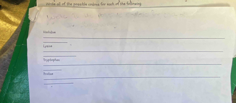 Write all of the possi 
Histidine 
_ 
_ 
_ 
Lysine 
_ 
_ 
_ 
Tryptophan 
_ 
_ 
Proline 
_