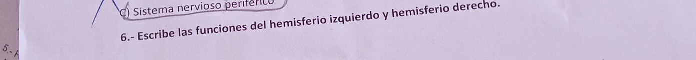 Sistema nervioso periferico 
6.- Escribe las funciones del hemisferio izquierdo y hemisferio derecho.