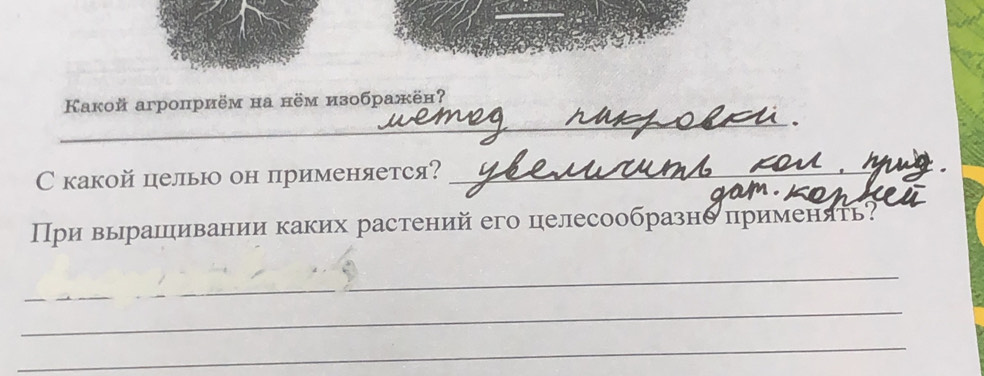 Kакой arроприём на нём изображён? 
_ 
Скакой цельюо он применяется?_ 
_ 
При вырашливании каких растений его целесообразне применять? 
_ 
_ 
_