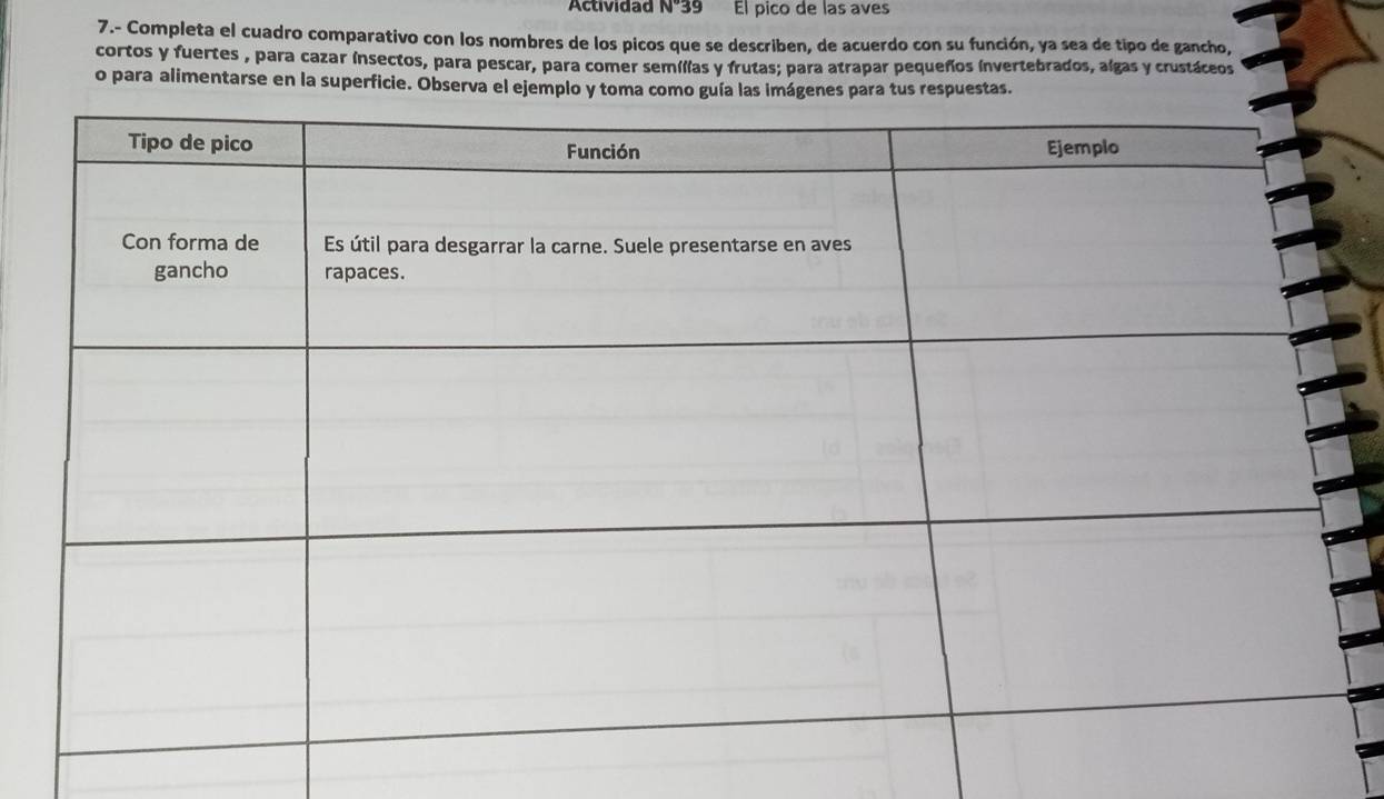Actividad N°39 El pico de las aves 
7.- Completa el cuadro comparativo con los nombres de los picos que se describen, de acuerdo con su función, ya sea de tipo de gancho, 
cortos y fuertes , para cazar insectos, para pescar, para comer semílias y frutas; para atrapar pequeños invertebrados, algas y crustáceos 
o para alimentarse en la superficie. Observa el ejemplo y toma como guía las imágenes para tus respuestas.
