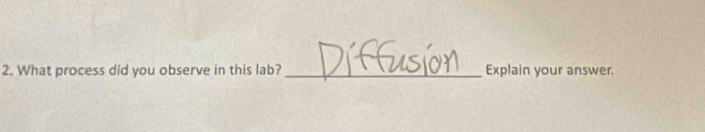 What process did you observe in this lab? _Explain your answer.