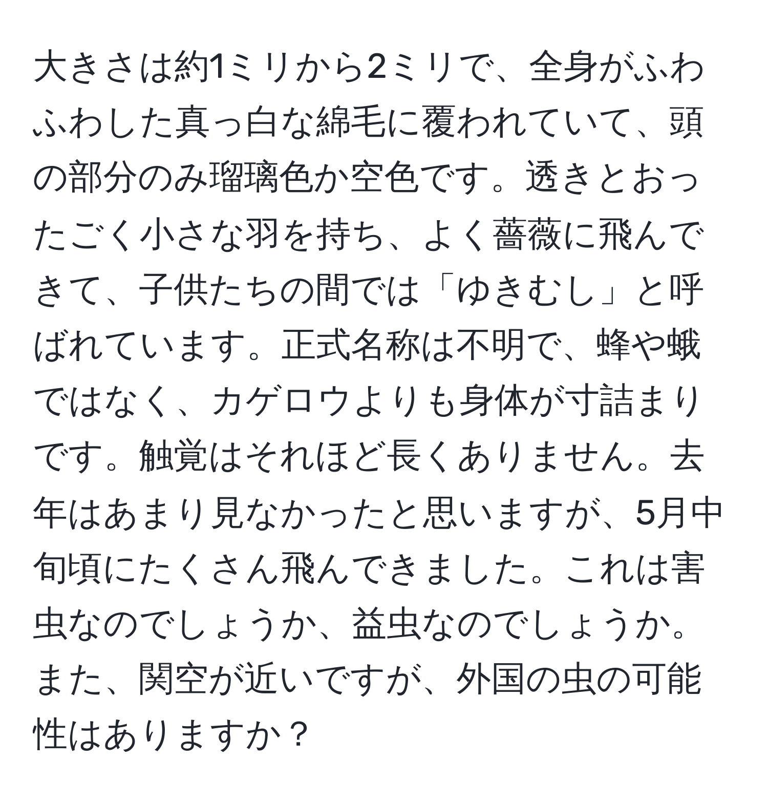 大きさは約1ミリから2ミリで、全身がふわふわした真っ白な綿毛に覆われていて、頭の部分のみ瑠璃色か空色です。透きとおったごく小さな羽を持ち、よく薔薇に飛んできて、子供たちの間では「ゆきむし」と呼ばれています。正式名称は不明で、蜂や蛾ではなく、カゲロウよりも身体が寸詰まりです。触覚はそれほど長くありません。去年はあまり見なかったと思いますが、5月中旬頃にたくさん飛んできました。これは害虫なのでしょうか、益虫なのでしょうか。また、関空が近いですが、外国の虫の可能性はありますか？