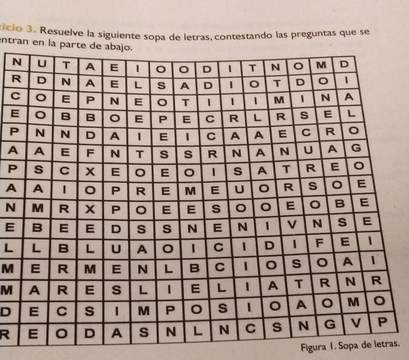 tício 3. Resuelve la siguiente sopa de letras, contestando las preguntas que se 
entran en la
N
R
C
E
P
A
P
A
N
E
L
M
M
D
R
Figura 1 . Sopa de letras.