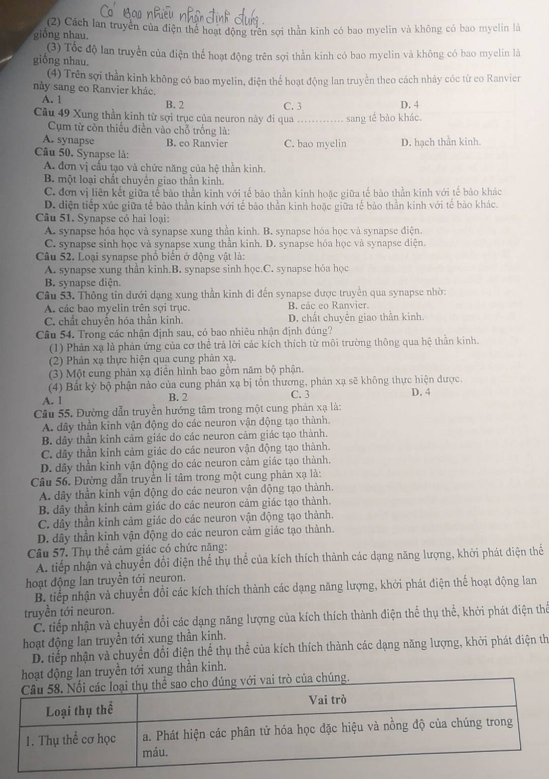 (2) Cách lan truyền của điện thể hoạt động trên sợi thần kinh có bao myelin và không có bao myelin là
giồng nhau.
(3) Tốc độ lan truyền của điện thể hoạt động trên sợi thần kinh có bao myelin và không có bao myelin là
giống nhau.
(4) Trên sợi thần kinh không có bao myelin, điện thể hoạt động lan truyền theo cách nhảy cóc từ eo Ranvier
này sang eo Ranvier khác.
A. 1
B. 2 C. 3 D. 4
Câu 49 Xung thần kinh từ sợi trục của neuron này đi qua sang tế bào khác.
Cụm từ còn thiếu điền vào chỗ trống là:
A. synapse B. eo Ranvier C. bao myelin D. hạch thần kinh.
Câu 50. Synapse là:
A. đơn vị cấu tạo và chức năng của hệ thần kinh.
B. một loại chất chuyển giao thần kinh.
C. đơn vị liên kết giữa tể bào thần kinh với tế bào thần kinh hoặc giữa tế bào thần kinh với tế bảo khác
D. diện tiếp xúc giữa tế bào thần kinh với tế bào thần kinh hoặc giữa tế bảo thần kinh với tế bảo khác.
Câu 51. Synapse có hai loại:
A. synapse hóa học và synapse xung thần kinh. B. synapse hóa học và synapse điện.
C. synapse sinh học và synapse xung thần kinh. D. synapse hóa học và synapse diện.
Câu 52. Loại synapse phổ biển ở động vật là:
A. synapse xung thần kinh.B. synapse sinh học.C. synapse hóa học
B. synapse diện.
Câu 53. Thông tin dưới dạng xung thần kinh đi đến synapse được truyền qua synapse nhờ:
A. các bao myelin trên sợi trục. B. các eo Ranvier.
C. chất chuyển hóa thần kinh. D. chất chuyển giao thần kinh.
Câu 54. Trong các nhận định sau, có bao nhiêu nhận định đúng?
(1) Phản xạ là phản ứng của cơ thể trả lời các kích thích từ môi trường thông qua hệ thần kinh.
(2) Phản xạ thực hiện qua cung phản xạ.
(3) Một cung phản xạ điễn hình bao gồm năm bộ phận.
(4) Bất kỳ bộ phận nào của cung phản xạ bị tổn thương, phản xạ sẽ không thực hiện dược.
A. 1 B. 2 C. 3 D. 4
Câu 55. Đường dẫn truyền hướng tâm trong một cung phản xạ là:
A. dây thần kinh vận động do các neuron vận động tạo thành.
B. dây thần kinh cảm giác do các neuron cảm giác tạo thành.
C. dây thần kinh cảm giác do các neuron vận động tạo thành.
D. dây thần kinh vận động do các neuron cảm giác tạo thành.
Câu 56. Đường dẫn truyền li tâm trong một cung phản xạ là:
A. dây thần kinh vận động do các neuron vận động tạo thành.
B. dây thần kinh cảm giác do các neuron cảm giác tạo thành.
C. dây thần kinh cảm giác do các neuron vận động tạo thành.
D. dây thần kinh vận động do các neuron cảm giác tạo thành.
Câu 57. Thụ thể cảm giác có chức năng:
A. tiếp nhận và chuyển đổi điện thế thụ thể của kích thích thành các dạng năng lượng, khởi phát điện thế
hoạt động lan truyền tới neuron.
B. tiếp nhận và chuyển đồi các kích thích thành các dạng năng lượng, khởi phát điện thể hoạt động lan
truyền tới neuron.
C. tiếp nhận và chuyển đổi các dạng năng lượng của kích thích thành điện thế thụ thể, khởi phát điện thể
hoạt động lan truyền tới xung thần kinh.
D. tiếp nhận và chuyển đổi điện thể thụ thể của kích thích thành các dạng năng lượng, khởi phát điện thờ
động lan truyền tới xung thần kinh.