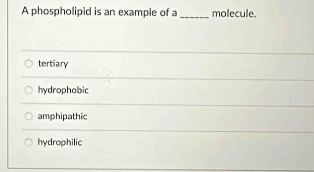 A phospholipid is an example of a_ molecule.
tertiary
hydrophobic
amphipathic
hydrophilic