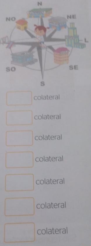 colateral
colateral
colateral
colateral
colateral
colateral
colateral