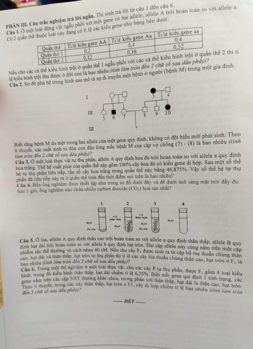 PHÀN III. Câu trắc nghiệm trả lời ngắn. Thí sinh trả lời từ câu 1 đến câu 6
Câu 1. hối xét một gene có hai allele, allele A trội hoàn toán so với allele a
Có 2 qunhư bảng bên dưới:
Nếu cho các cá thể kiểu hình trội ở q 2 thị ti
lệ kiểu hình trội thu được ở đời con là bao nhiêu (tỉnh làm tròn đế
Câu 2. Sơ đồ phả hệ trong hình sau mô tả sự di truyền một bệnh ở người (bệnh M) trong một gia đình.
I
Biết rằng bệnh M do một trong hai allele của một gene quy định, không có đột biến mới phát sinh. Theo
lí thuyết, xác suất sinh ra đứa con đầu lòng mắc bệnh M của cặp vợ chồng (7) - (8) là bao nhiêu (tính
làm tròn đến 2 chữ số sau dầu phầy)?
Câu 3. Ở một loài thực vật tự thụ phần, allele A quy định hoa đỏ trội hoàn toàn so với allele a quy định
hoa trắng. Thể hệ xuất phát của quần thể này gồm 100% cây hoa đỏ có kiểu gene dị hợp. Sau một số thế
hệ tự thụ phần liên tiếp, tần số cây hoa trắng trong quần thể này bằng 46,875%. Vậy số thế hệ tự thụ
phần đã liên tiếp xảy ra ở quần thể tính đến thời điểm nói trên là bao nhiêu?
Câu 4. Bốn ống nghiệm được thiết lập như trong sơ đồ dưới đây và đề dưới ánh sáng mặt trời đầy đủ.
Sau 1 giờ, ống nghiệm nào chứa nhiều carbon dioxide (CO_2) hoà tan nhất?
1 2 3 4
Cá
thủy sính thủy sinh
π,o u,O
Óc xên u,o u,O
Óc sin
Câu 5. Ở lúa, allele A quy định thân cao trội hoàn toàn so với allele a quy định thân thấp, allele B quy
định hạt dài trội hoàn toàn so với allele b quy định hạt tròn. Hai cặp allele này cùng nằm trên một cặp
nhiễm sắc thể thường và cách nhau 40 cM. Nếu cho cây F_1 được sinh ra từ cặp bố mẹ thuần chùng thân
cao, hạt dài và thân thấp, hạt tròn tự thụ phần thì tí lệ các cây lúa thuần chủng thân cao, hạt tròn ở F_2 là
bao nhiêu (tính làm tròn đến 2 chữ số sau dầu phầy)?
Câu 6. Trong một thí nghiệm ở một loài thực vật, cho các cây P tự thụ phần, được F_1 gồm 4 loại kiều
hình, trong đó kiểu hình thân thấp, hạt dài chiếm tỉ lệ 6,25%. Biết mỗi gene qui định 1 tính trạng, các
gene nằm trên các cặp NST thường khác nhau, tương phản với thân thấp, hạt dài là thân cao, hạt tròn.
Theo lí thuyết, trong các cây thân thắp, hạt tròn ở F1, cây dị hợp chiếm tỉ lệ bao nhiêu (tỉnh làm tròn
đến 2 chữ số sau dấu phây)?
_ é  _