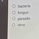 bacteria 
fungus 
parasite 
virus