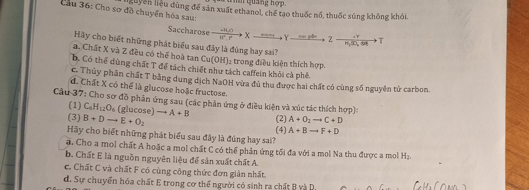 ìh quảng hợp.
Cầu 36: Cho sơ đồ chuyển hóa sau: lguyên liệu dùng để sản xuất ethanol, chế tạo thuốc nổ, thuốc súng không khói.
Saccharose xrightarrow +H_2OXxrightarrow eneta .t°Zxrightarrow +YH_2SO_4otimes ZT 
Hãy cho biết những phát biểu sau đây là đúng hay sai?
a. Chất X và Z đều có thể hoà tan ở Cu(OH) 2 trong điều kiện thích hợp.
b. Có thể dùng chất T để tách chiết như tách caffein khỏi cà phê.
c. Thủy phân chất T bằng dung dịch NaOH vừa đủ thu được hai chất có cùng số nguyên tử carbon.
d. Chất X có thể là glucose hoặc fructose.
Câu 37: Cho sơ đồ phản ứng sau (các phản ứng ở điều kiện và xúc tác thích hợp):
(1) C_6H_12O (glucose) · to 
(3) B+Dto E+O_2 A+B (2) A+O_2to C+D
(4) A+Bto F+D
Hy cho biết những phát biểu sau đây là đúng hay sai?
a. Cho a mol chất A hoặc a mol chất C có thể phản ứng tối đa với a mol Na thu được a mol H_2.
b. Chất E là nguồn nguyên liệu để sản xuất chất A.
c. Chất C và chất F có cùng công thức đơn giản nhất.
d. Sự chuyển hóa chất E trong cơ thể người có sinh ra chất B và D.