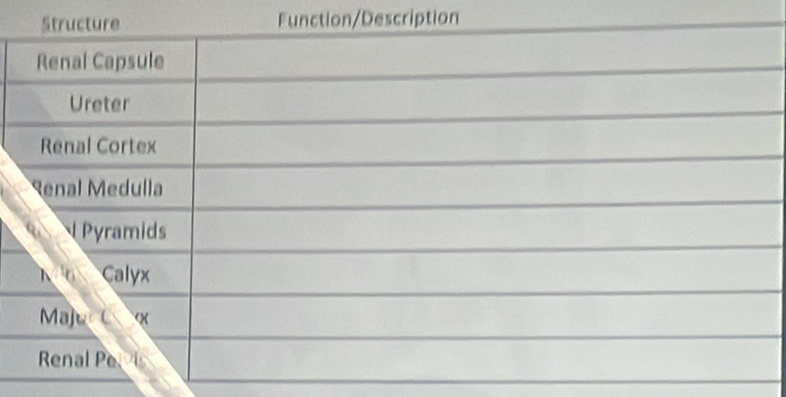 Function/Description