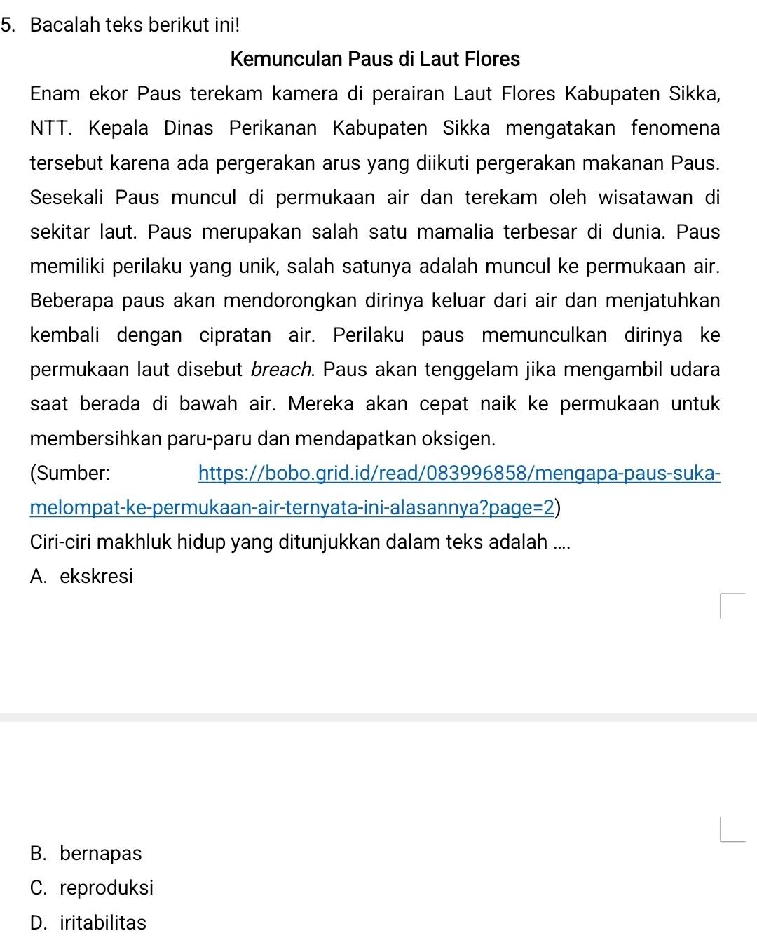 Bacalah teks berikut ini!
Kemunculan Paus di Laut Flores
Enam ekor Paus terekam kamera di perairan Laut Flores Kabupaten Sikka,
NTT. Kepala Dinas Perikanan Kabupaten Sikka mengatakan fenomena
tersebut karena ada pergerakan arus yang diikuti pergerakan makanan Paus.
Sesekali Paus muncul di permukaan air dan terekam oleh wisatawan di
sekitar laut. Paus merupakan salah satu mamalia terbesar di dunia. Paus
memiliki perilaku yang unik, salah satunya adalah muncul ke permukaan air.
Beberapa paus akan mendorongkan dirinya keluar dari air dan menjatuhkan
kembali dengan cipratan air. Perilaku paus memunculkan dirinya ke
permukaan laut disebut breach. Paus akan tenggelam jika mengambil udara
saat berada di bawah air. Mereka akan cepat naik ke permukaan untuk
membersihkan paru-paru dan mendapatkan oksigen.
(Sumber: https://bobo.grid.id/read/083996858/mengapa-paus-suka-
melompat-ke-permukaan-air-ternyata-ini-alasannya?page =2) 
Ciri-ciri makhluk hidup yang ditunjukkan dalam teks adalah ....
A. ekskresi
B. bernapas
C. reproduksi
D. iritabilitas