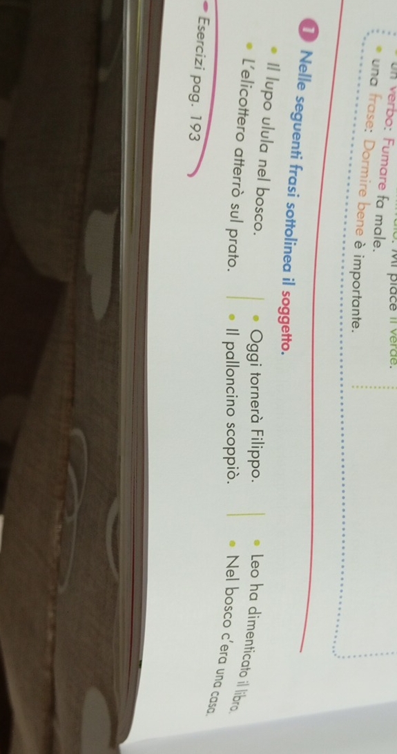 MI place il verde. 
Un verbo: Fumare fa male. 
una frase: Dormire bene è importante. 
] Nelle seguenti frasi sottolinea il soggetto. 
Il lupo ulula nel bosco. 
Oggi tornerà Filippo. Leo ha dimenticato il libro. 
L'elicottero atterrò sul prato. Il palloncino scoppiò. Nel bosco c'era una casa. 
Esercizi pag. 193