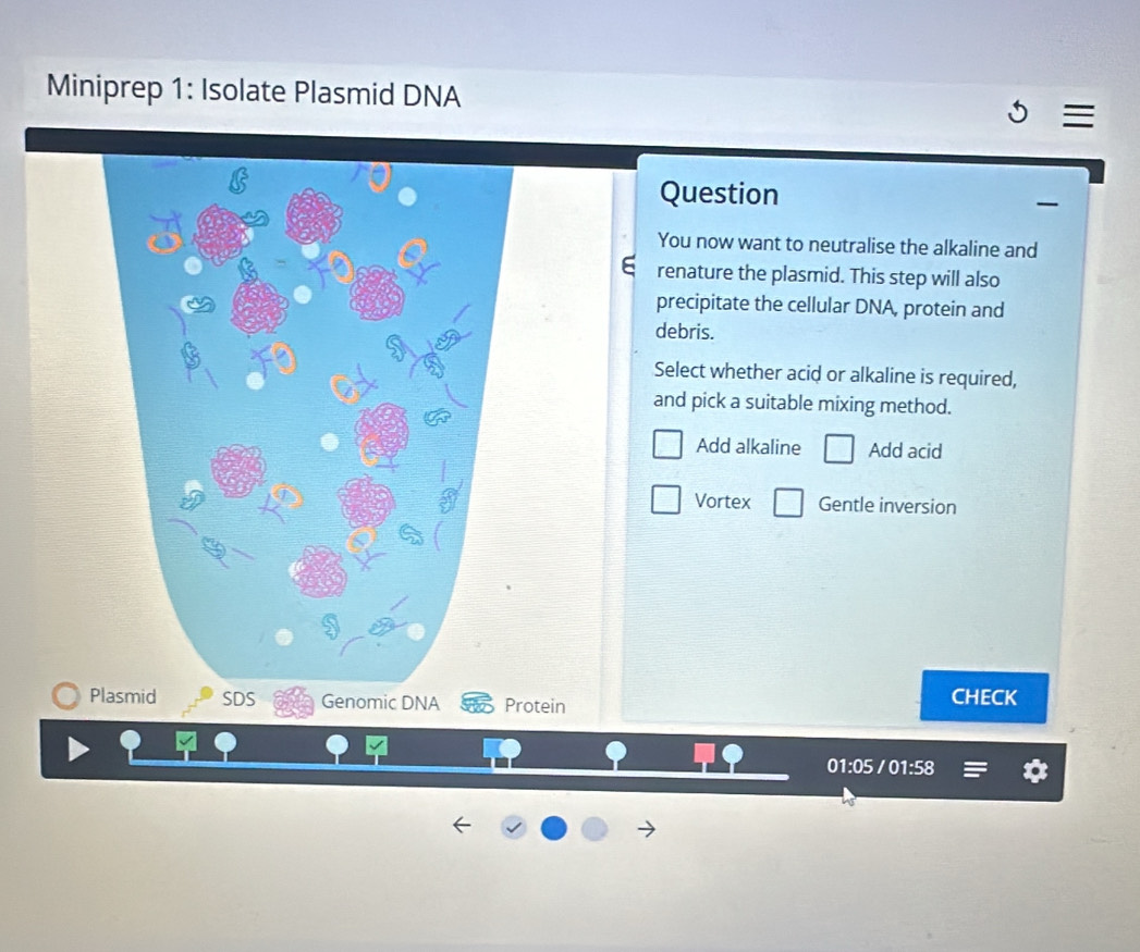 Miniprep 1: Isolate Plasmid DNA 
Question 
You now want to neutralise the alkaline and 
renature the plasmid. This step will also 
precipitate the cellular DNA, protein and 
debris. 
Select whether acid or alkaline is required, 
and pick a suitable mixing method. 
Add alkaline □ Add acid 
Vortex □ Gentle inversion 
Plasmid SDS Genomic DNA Protein CHECK 
01:05 / 01:58