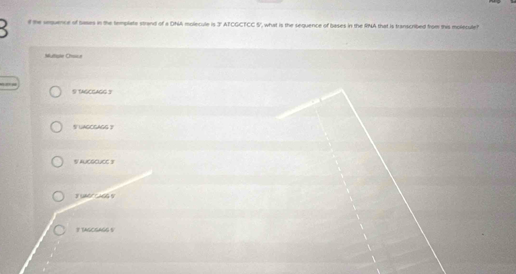 the sequence of bases in the template strand of a DNA molecule is 3' ATCGCTCC 5', what is the sequence of bases in the RNA that is transcribed from this molecule?
Mutlister Cmicat
9 TAGCGAGG3
S LAGCGAGG 3
S/ AUCGCUCC 3'
3 UAGCCAGG V
3 TAGCGAGG 5