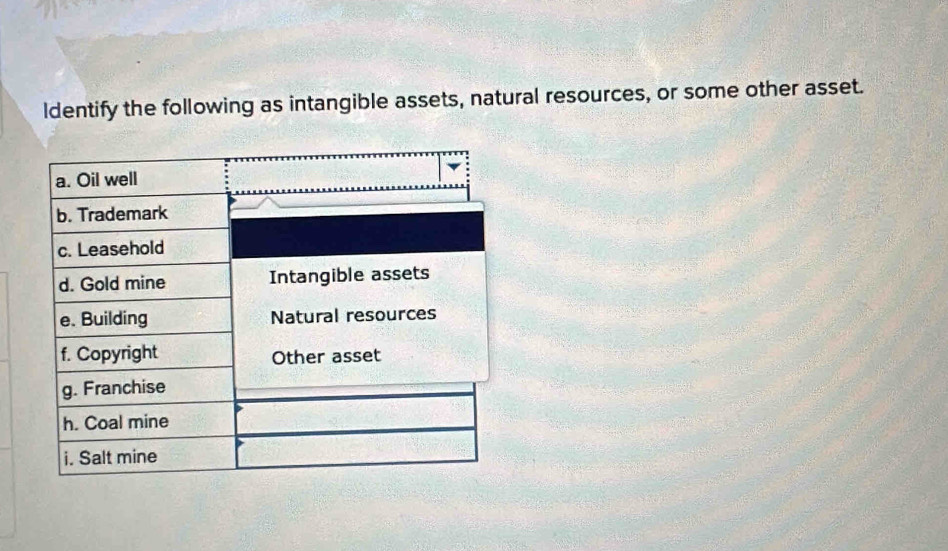 ldentify the following as intangible assets, natural resources, or some other asset.