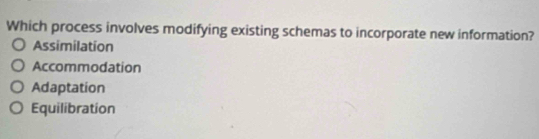 Which process involves modifying existing schemas to incorporate new information?
Assimilation
Accommodation
Adaptation
Equilibration