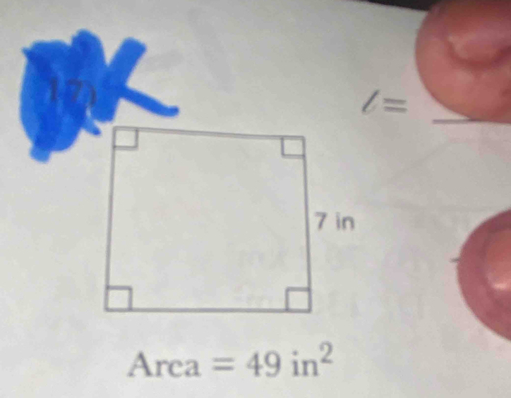 Area =49in^2