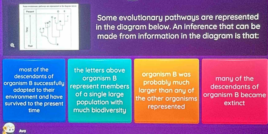 Some evolutionary pathways are represented
in the diagram below. An inference that can be
made from information in the diagram is that:
Q 
most of the the letters above
descendants of organism B organism B was many of the
probably much
organism B successfully represent members larger than any of descendants of
adapted to their
environment and have of a single large
survived to the present population with the other organisms organism B became
extinct
time much biodiversity represented
Ava