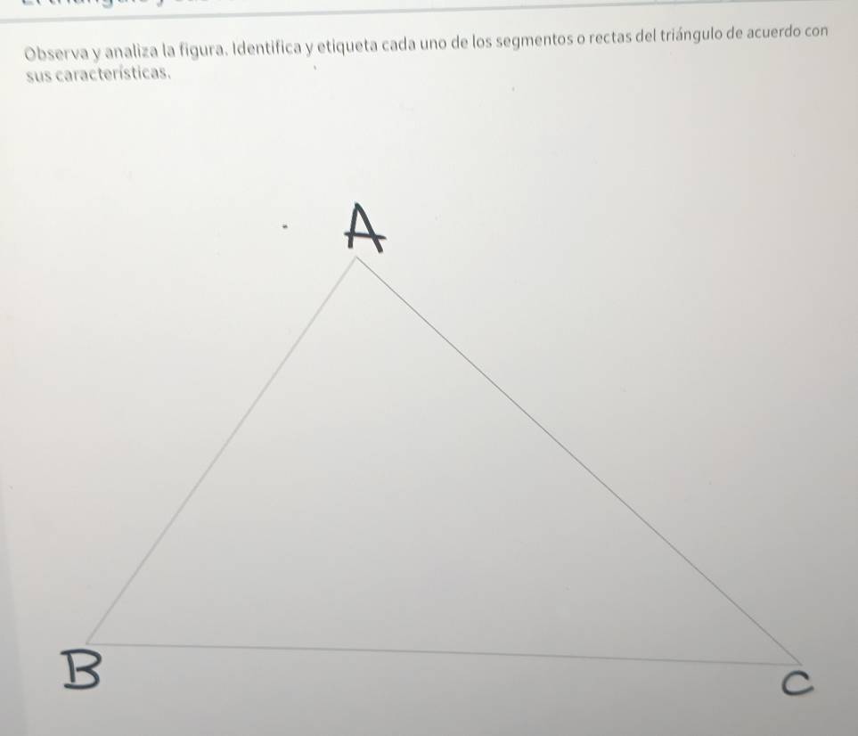 Observa y analiza la figura. Identifica y etiqueta cada uno de los segmentos o rectas del triángulo de acuerdo con 
sus características.