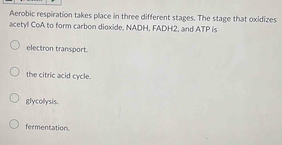 Aerobic respiration takes place in three different stages. The stage that oxidizes
acetyl CoA to form carbon dioxide, NADH, FADH2, and ATP is
electron transport.
the citric acid cycle.
glycolysis.
fermentation.