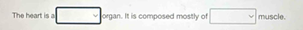 The heart is a □° organ. . It is composed mostly of □ muscle