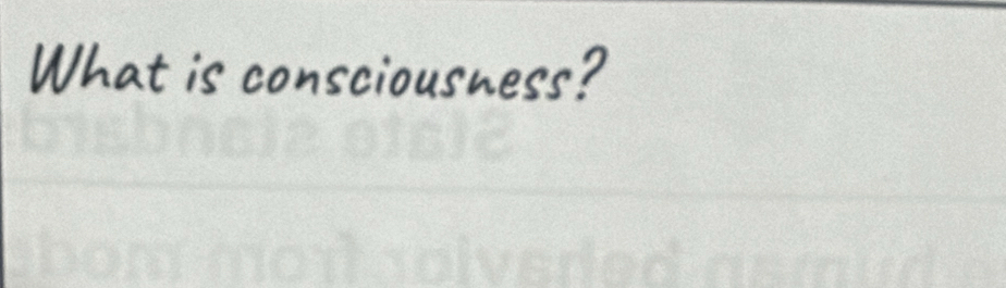 What is consciousness?