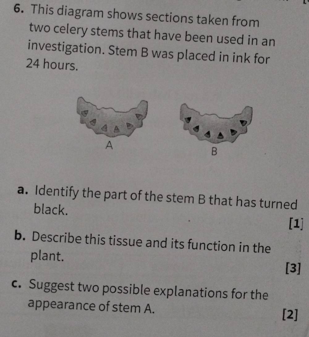 This diagram shows sections taken from 
two celery stems that have been used in an 
investigation. Stem B was placed in ink for
24 hours. 
A 
B 
a. Identify the part of the stem B that has turned 
black. 
[1] 
b. Describe this tissue and its function in the 
plant. 
[3] 
c. Suggest two possible explanations for the 
appearance of stem A. 
[2]