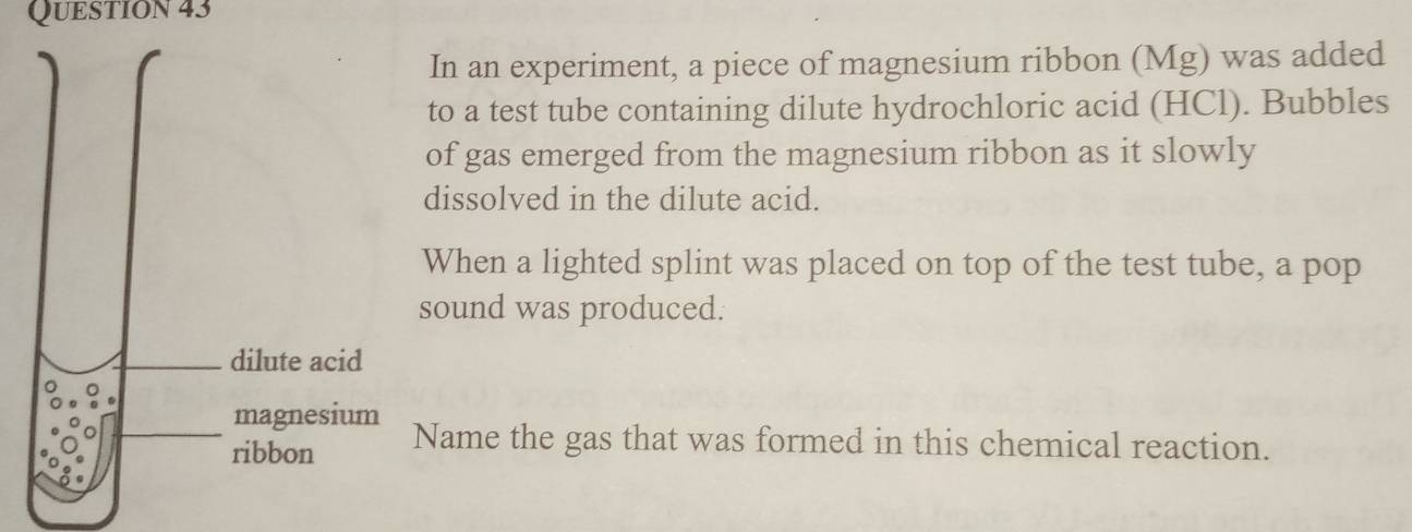 Solved: In an experiment, a piece of magnesium ribbon (Mg) was added to ...