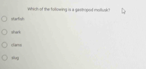 Which of the following is a gastropod mollusk?
starfish
shark
clams
slug