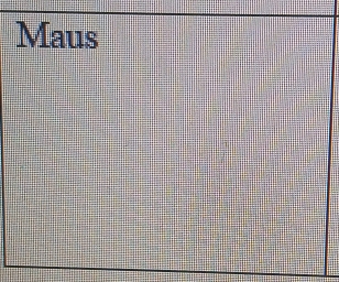 Maus