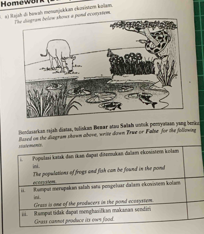 Homework 
. a) Rajah di bawah menunjukkan ekosistem kolam. 
The diagram below shows a pond ecosystem. 
Berdasarkan rajah diatas, tuliskan Benar atau Salah untuk pernyataan yang berikut 
Based on the diagram shown above, write down True or False for the following