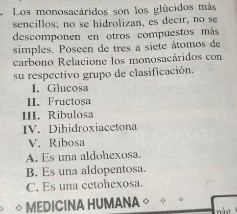 Los monosacáridos son los glúcidos más
sencillos; no se hidrolizan, es decir, no se
descomponen en otros compuestos más
simples. Poseen de tres a siete átomos de
carbono Relacione los monosacáridos con
su respectivo grupo de clasificación.
I. Glucosa
II. Fructosa
III. Ribulosa
IV. Dihidroxiacetona
V. Ribosa
A. Es una aldohexosa.
B. Es una aldopentosa.
C. Es una cetohexosa.
MEDICINA HUMANA
náo