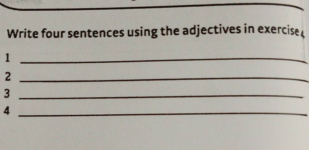 Write four sentences using the adjectives in exercise 
_1 
_2 
_3 
_4