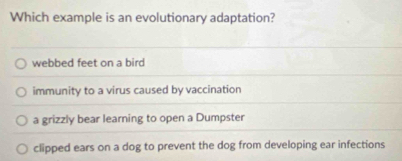 Which example is an evolutionary adaptation?
webbed feet on a bird
immunity to a virus caused by vaccination
a grizzly bear learning to open a Dumpster
clipped ears on a dog to prevent the dog from developing ear infections