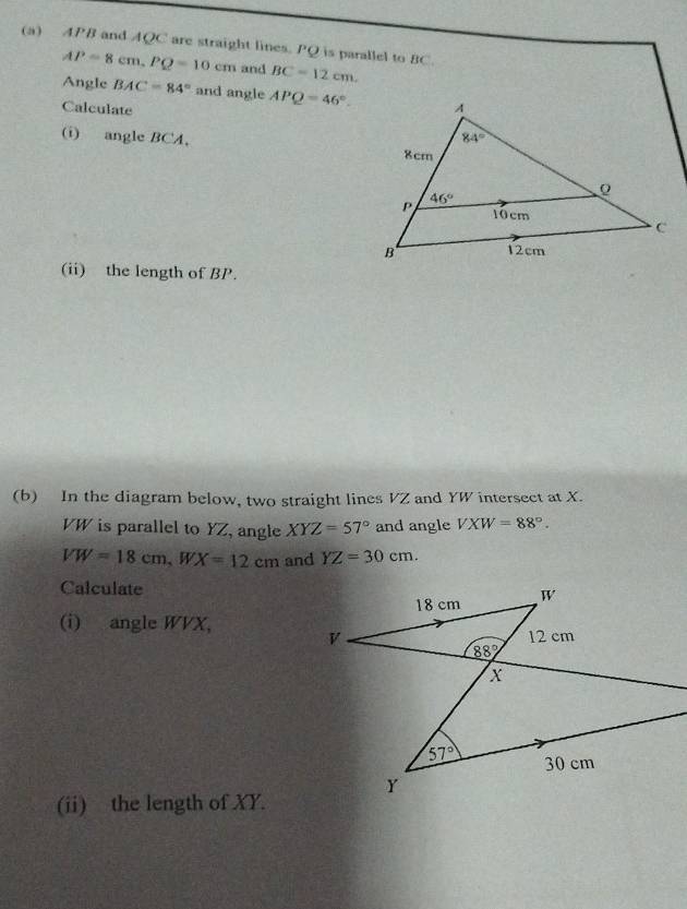 APB and AQC are straight lines. PQ is parallel to BC.
AP=8cm.PQ=10cm and BC=12cm.
Angle BAC=84° and angle APQ=46°.
Calculate 
(i) angle BCA, 
(ii) the length of BP.
(b) In the diagram below, two straight lines VZ and YW intersect at X.
VW is parallel to YZ, angle XYZ=57° and angle VXW=88°.
VW=18cm,WX=12cm and YZ=30cm.
Calculate
(i) angle WVX, 
(ii) the length of XY.