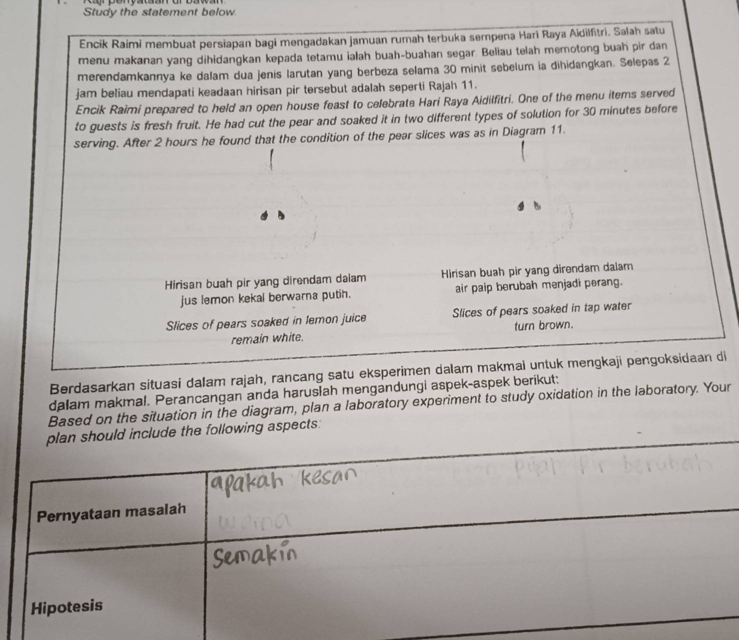 Study the statement below 
Encik Raimi membuat persiapan bagi mengadakan jamuan rumah terbuka sempena Hari Raya Aidilfitri. Salah satu 
menu makanan yang dihidangkan kepada tetamu ialah buah-buahan segar. Beliau telah memotong buah pir dan 
merendamkannya ke dalam dua jenis larutan yang berbeza selama 30 minit sebelum ia dihidangkan. Selepas 2 
jam beliau mendapati keadaan hirisan pir tersebut adalah seperti Rajah 11. 
Encik Raimi prepared to held an open house feast to celebrate Hari Raya Aidilfitri. One of the menu items served 
to guests is fresh fruit. He had cut the pear and soaked it in two different types of solution for 30 minutes before 
serving. After 2 hours he found that the condition of the pear slices was as in Diagram 11. 
Hirisan buah pir yang direndam dalam Hirisan buah pir yang direndam dalam 
jus lemon kekal berwarna putih. air paip berubah menjadi perang. 
Slices of pears soaked in lemon juice Slices of pears soaked in tap water 
remain white. turn brown. 
Berdasarkan situasi dalam rajah, rancang satu eksperimen dalam makmai untuk mengkaji pengoksidaan di 
dalam makmal. Perancangan anda haruslah mengandungi aspek-aspek berikut: 
Based on the situation in the diagram, plan a laboratory experiment to study oxidation in the laboratory. Your 
plan should include the following aspects: