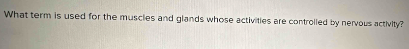 What term is used for the muscles and glands whose activities are controlled by nervous activity?