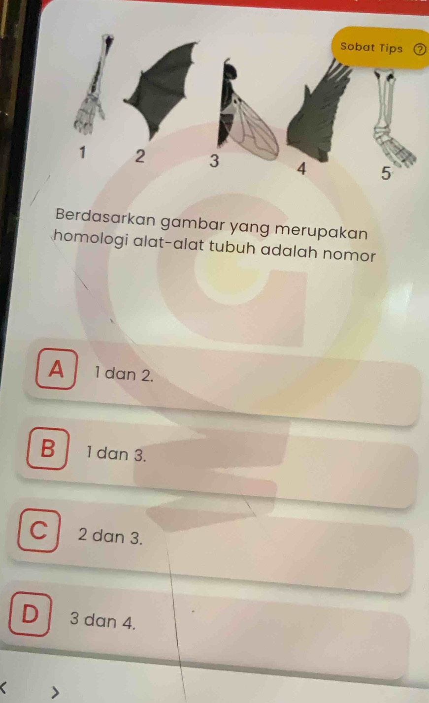 Sobat Tips a
1 2
3
4
5
Berdasarkan gambar yang merupakan
homologi alat-alat tubuh adalah nomor
A 1 dan 2.
B 1 dan 3.
C 2 dan 3.
D 3 dan 4.
>