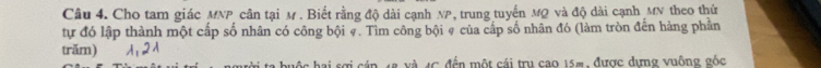 Cho tam giác MNP cân tại M. Biết rằng độ dài cạnh NP, trung tuyến MQ và độ dài cạnh MN theo thứ 
tự đó lập thành một cấp số nhân có công bội 9. Tìm công bội 9 của cấp số nhân đó (làm tròn đến hàng phần 
trăm) 
hộc hai sợi cán 1g và 4C đến một cái tru cao 15m, được dựng vuông gốc