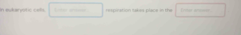 In eukaryotic cells. Enter answer respiration takes place in the Enter answer.