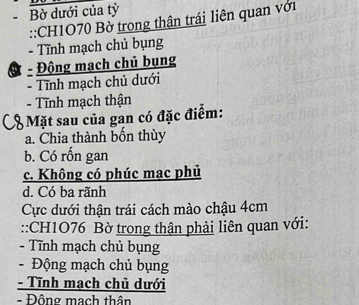 Bờ dưới của tỳ
::CH1O70 Bờ trong thận trái liên quan với
- Tĩnh mạch chủ bụng
Động mạch chủ bụng
. Tĩnh mạch chủ dưới
- Tĩnh mạch thận
Mặt sau của gan có đặc điểm:
a. Chia thành bốn thùy
b. Có rốn gan
c. Không có phúc mạc phủ
d. Có ba rãnh
Cực dưới thận trái cách mào chậu 4cm
::CH1O76 Bờ trong thận phải liên quan với:
- Tĩnh mạch chủ bụng
- Động mạch chủ bụng
- Tĩnh mạch chủ dưới
- Đông mach thân