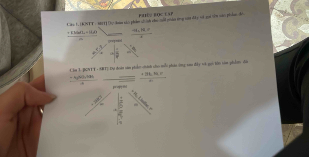 phiÊU HọC tập 
Câu 1. [KNTT - SBT] Dự đoán sản phẩm chính cho mỗi phân ứng sau đây và gọi tên sản phẩm đô,
frac +KMnO_4+H_2Ocn _  frac +H_2Ni.r(t)
propene
frac 4^316 C. 4/8  (2) overline 5
Câu 2. [KNTT - SBT] Dự đoán sán phẩm chính cho mỗi phán ứng sau đây và gọi tên sản phẩm đô
frac +AgNO_3/NH_3co
frac +2H_2Ni.rdi
propyne
/ frac 1- 1/5  frac +H_bLivotimes 