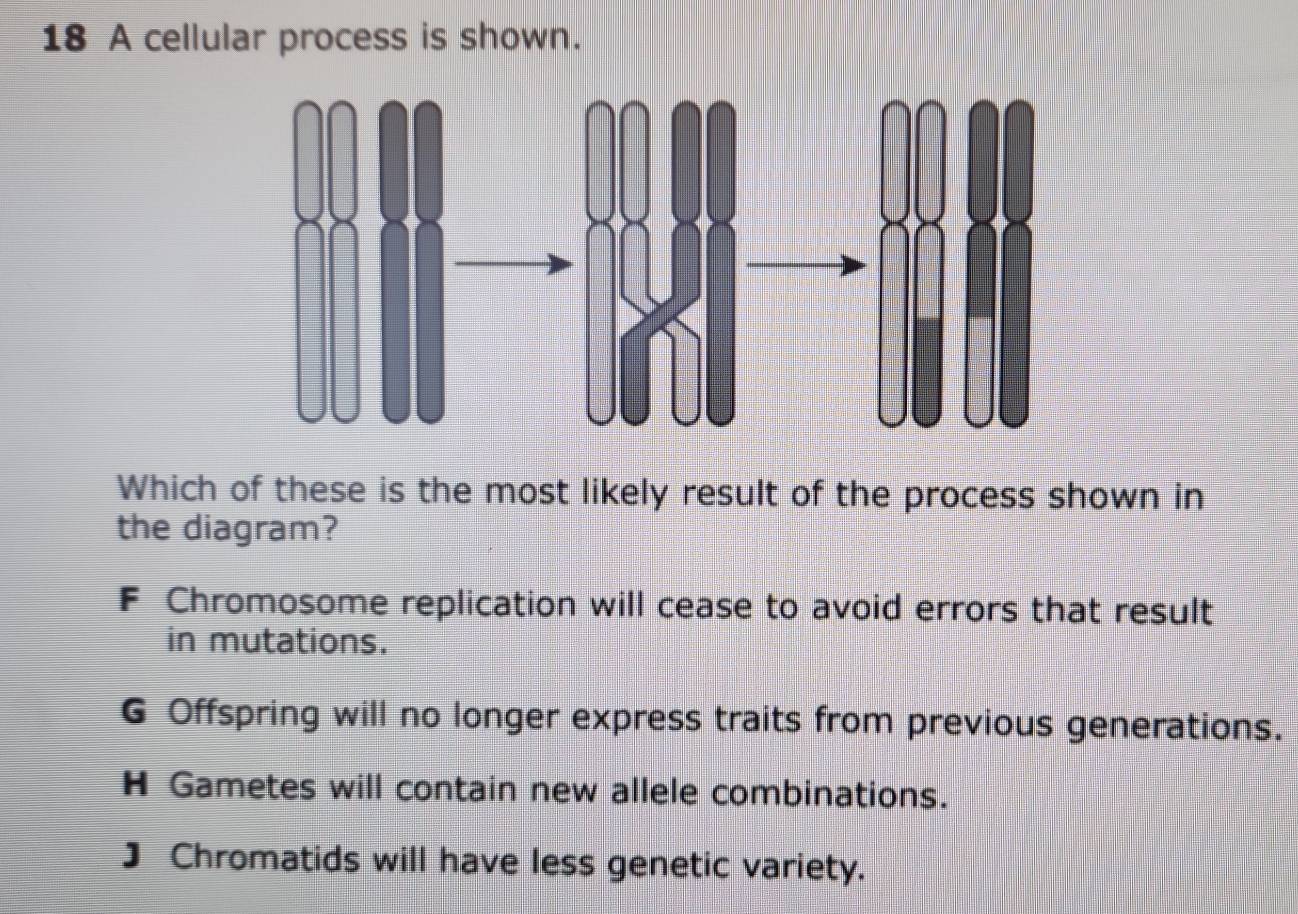 A cellular process is shown.
Which of these is the most likely result of the process shown in
the diagram?
F Chromosome replication will cease to avoid errors that result
in mutations.
G Offspring will no longer express traits from previous generations.
H Gametes will contain new allele combinations.
J Chromatids will have less genetic variety.