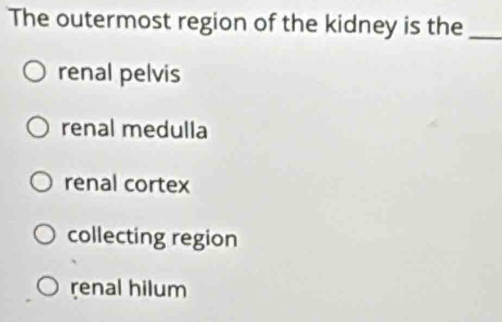 The outermost region of the kidney is the_
renal pelvis
renal medulla
renal cortex
collecting region
renal hilum