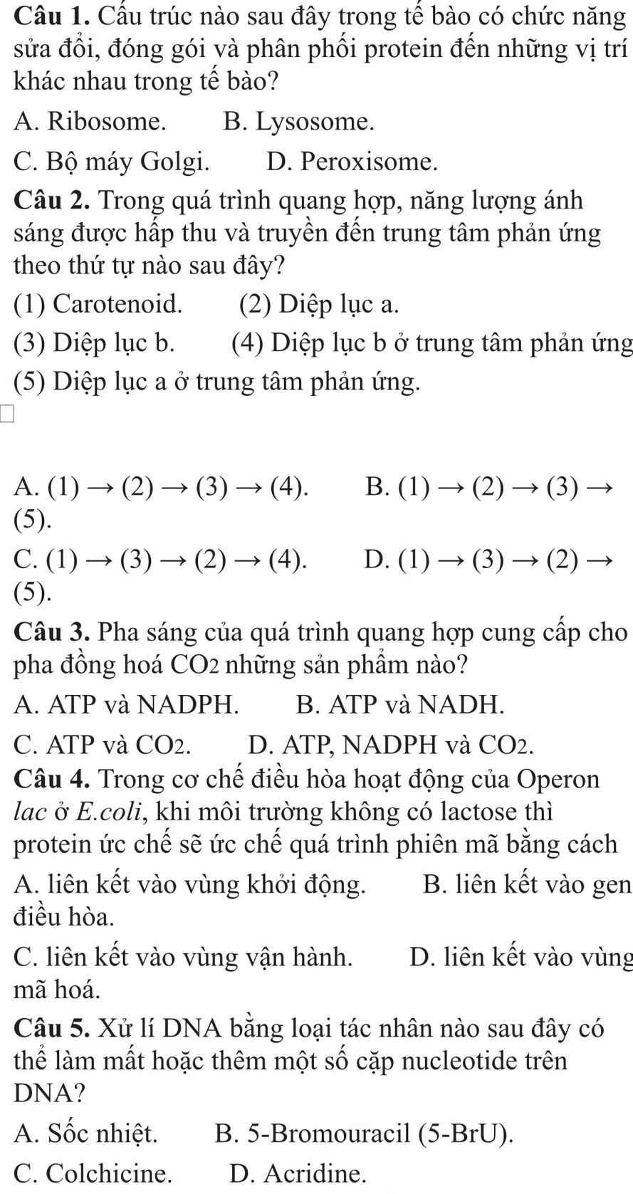 Cầu trúc nào sau đây trong tế bào có chức năng
sửa đổi, đóng gói và phân phối protein đến những vị trí
khác nhau trong tế bào?
A. Ribosome. B. Lysosome.
C. Bộ máy Golgi. D. Peroxisome.
Câu 2. Trong quá trình quang hợp, năng lượng ánh
sáng được hấp thu và truyền đến trung tâm phản ứng
theo thứ tự nào sau đây?
(1) Carotenoid. (2) Diệp lục a.
(3) Diệp lục b. (4) Diệp lục b ở trung tâm phản ứng
(5) Diệp lục a ở trung tâm phản ứng.
A. (1)to (2)to (3)to (4). B. (1)to (2)to (3)to
(5).
() (1)to (3)to (2)to (4). D. (1)to (3)to (2)to
(5).
Câu 3. Pha sáng của quá trình quang hợp cung cấp cho
pha đồng hoá CO2 những sản phẩm nào?
A. ATP và NADPH. B. ATP và NADH.
C. ATP và CO2. D. ATP, NADPH và CO2.
Câu 4. Trong cơ chế điều hòa hoạt động của Operon
lac ở E.coli, khi môi trường không có lactose thì
protein ức chế sẽ ức chế quá trình phiên mã bằng cách
A. liên kết vào vùng khởi động. B. liên kết vào gen
điều hòa.
C. liên kết vào vùng vận hành. D. liên kết vào vùng
mã hoá.
Câu 5. Xử lí DNA bằng loại tác nhân nào sau đây có
thể làm mất hoặc thêm một số cặp nucleotide trên
DNA?
A. Sốc nhiệt. B. 5-Bromouracil (5-BrU).
C. Colchicine. D. Acridine.